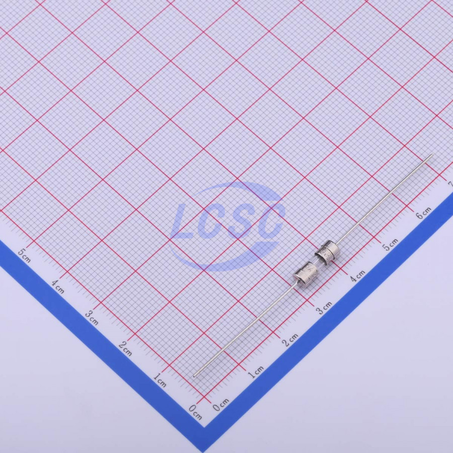 20190417 holly 30t 050h c377323 back.jpg