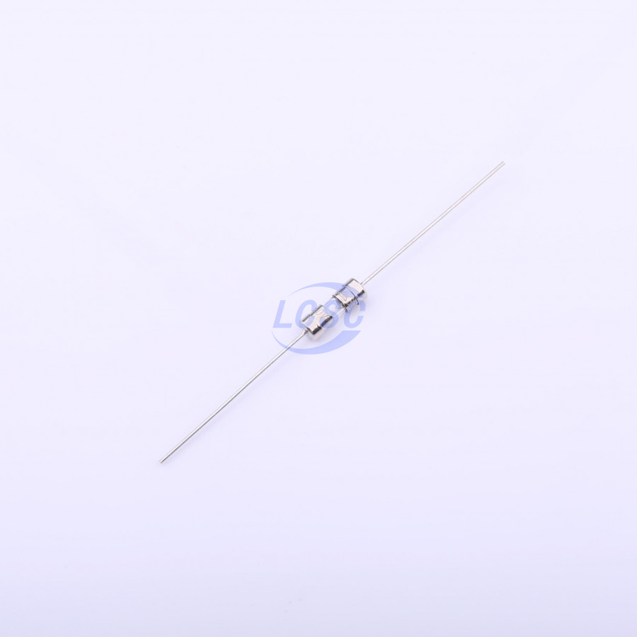 20190417 holly 30t 050h c377323 blank.jpg