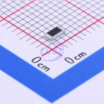 20190531 holly 12t 032l2 c377289 back.jpg