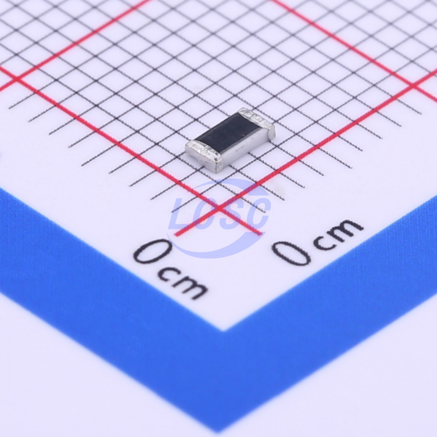 20190531 holly 12t 032l2 c377289 back.jpg