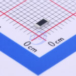 20190531 holly 12t 0500l2 c377237 back.jpg