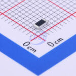 20190531 holly 12t 070l2 c377291 back.jpg