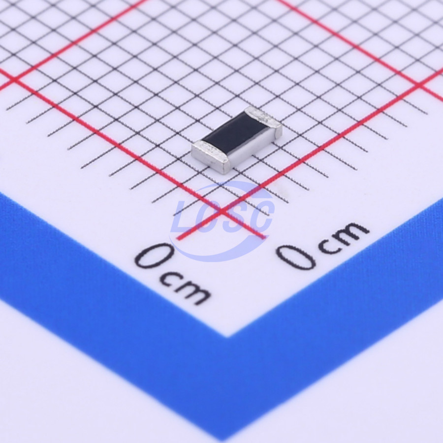 20190531 holly 12t 070l2 c377291 back.jpg