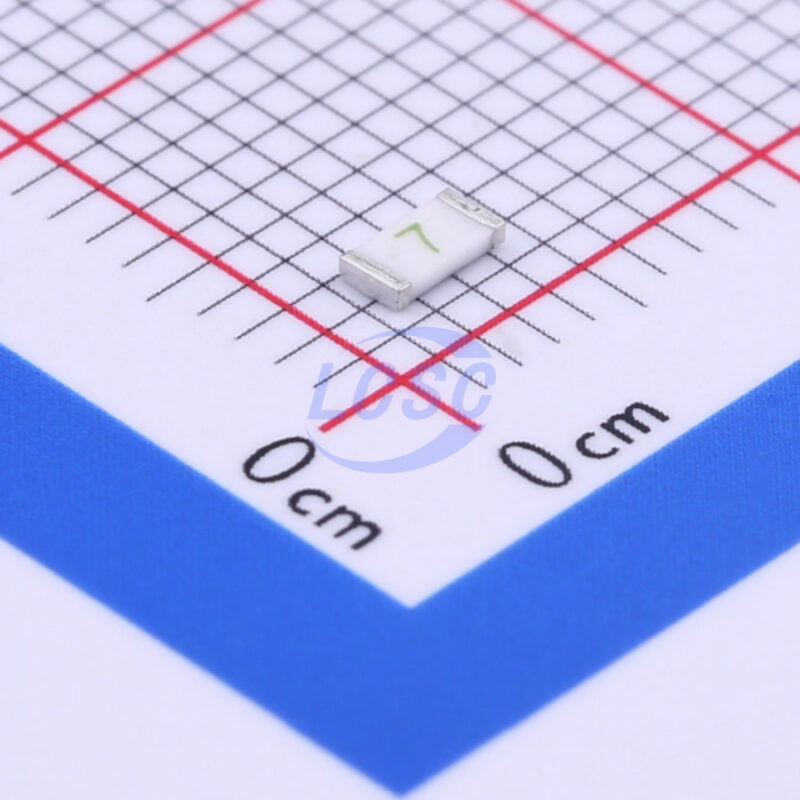 20190531 holly 12t 070l2 c377291 front.jpg