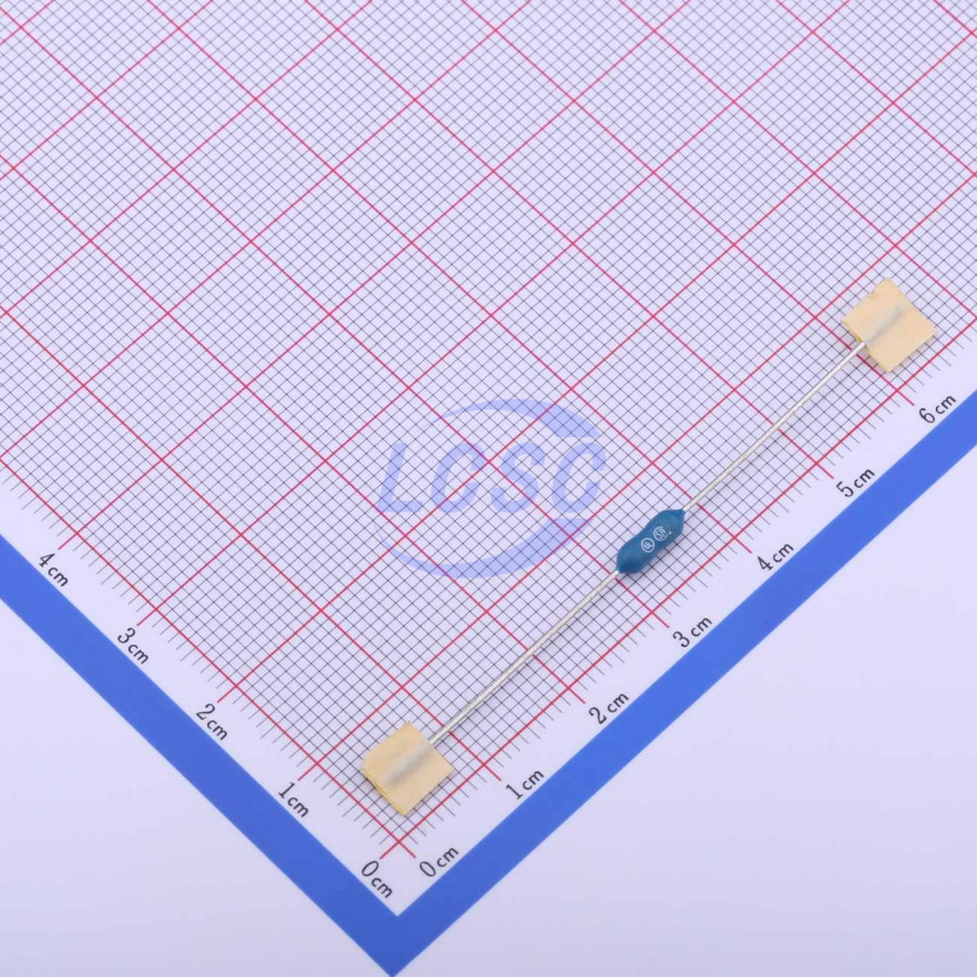 20190531 holly 20n 010h c377296 back.jpg