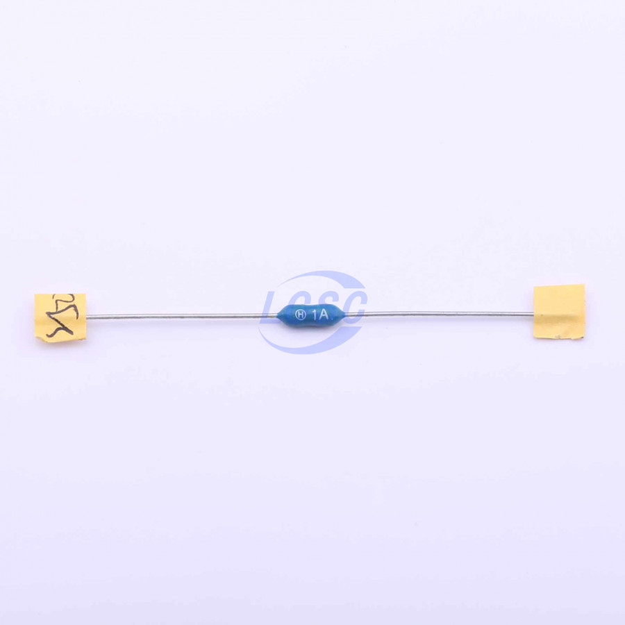 20190531 holly 20n 010h c377296 blank.jpg