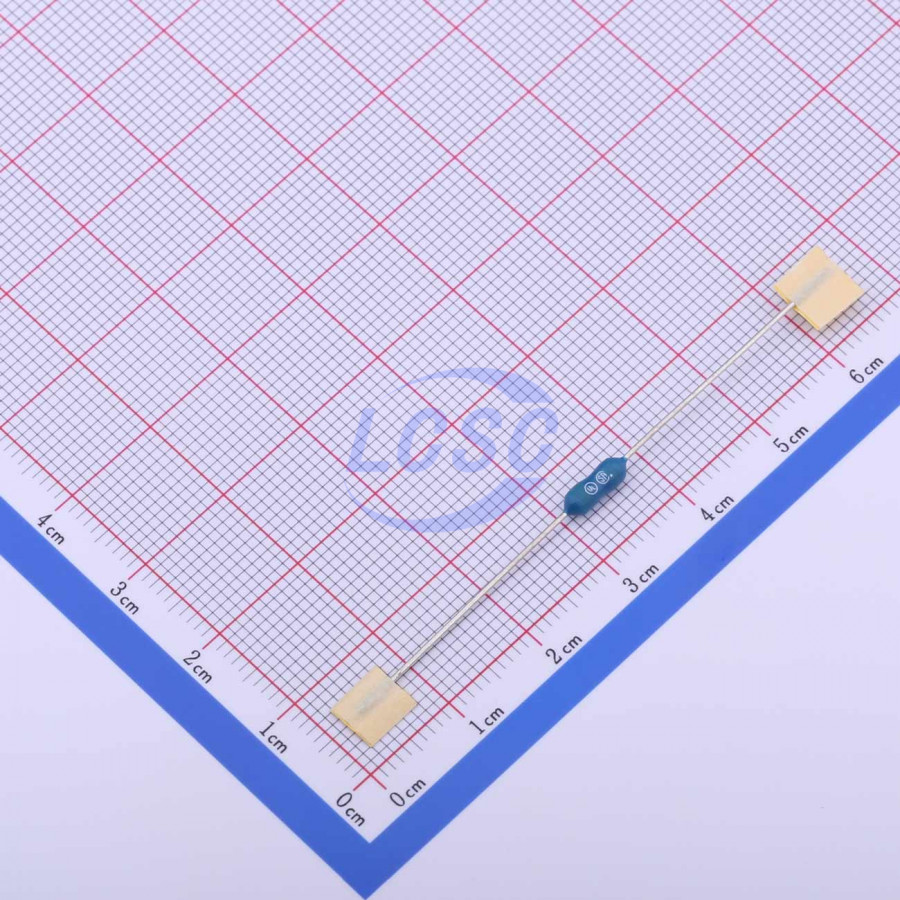 20190531 holly 20n 020h c377297 back.jpg