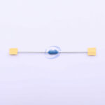 20190531 holly 20n 020h c377297 blank.jpg