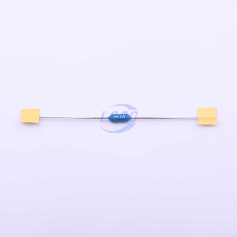 20190531 holly 20n 020h c377297 blank.jpg