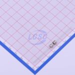 20220830 holly 30t 020h c377321 back.jpg