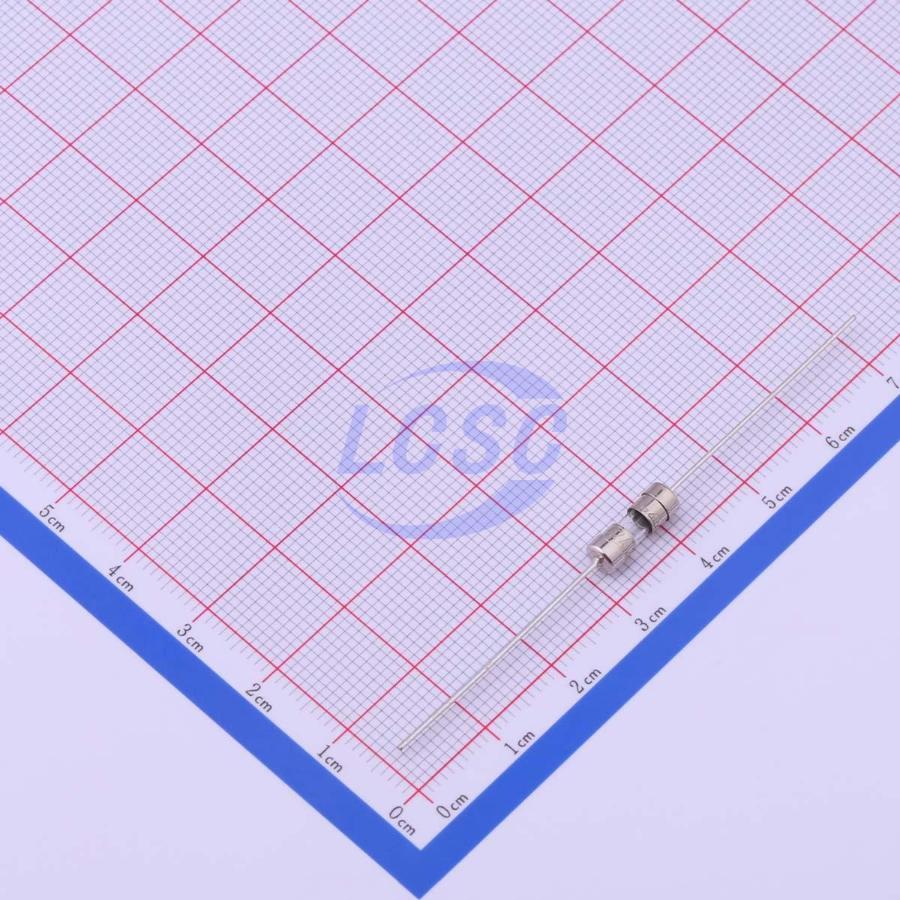 20220830 holly 30t 020h c377321 back.jpg