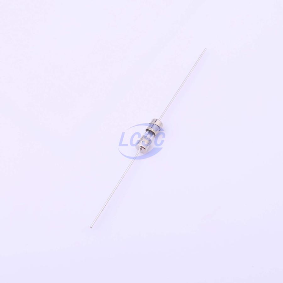 20220830 holly 30t 020h c377321 blank.jpg