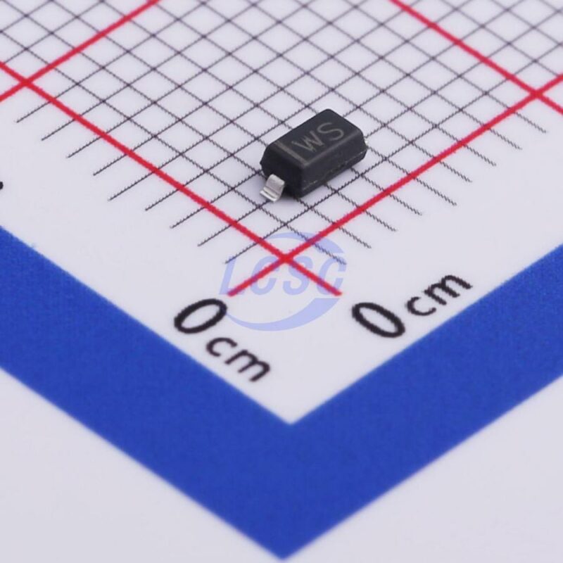 20230103 born bzt52c36 c511892 front.jpg