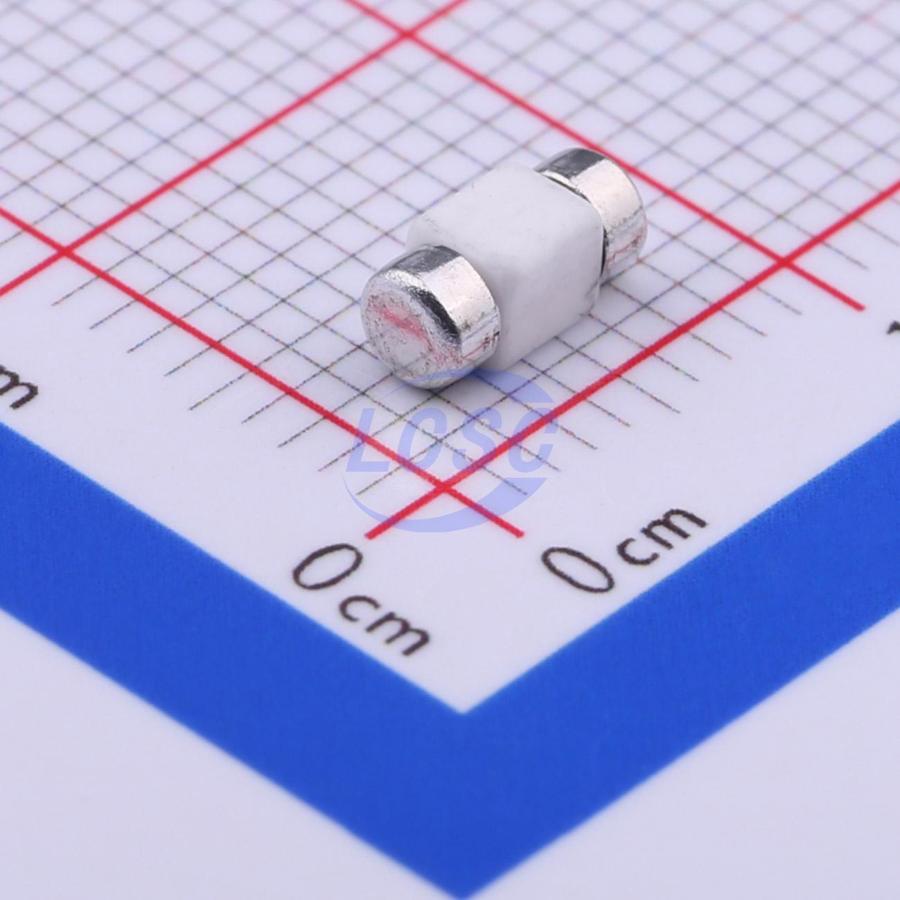 20230109 holly 25f 010h c377210 back.jpg