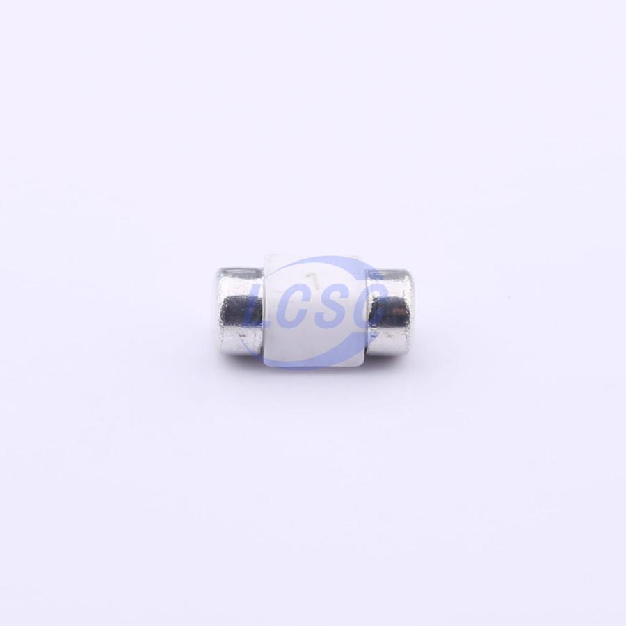 20230109 holly 25f 010h c377210 blank.jpg