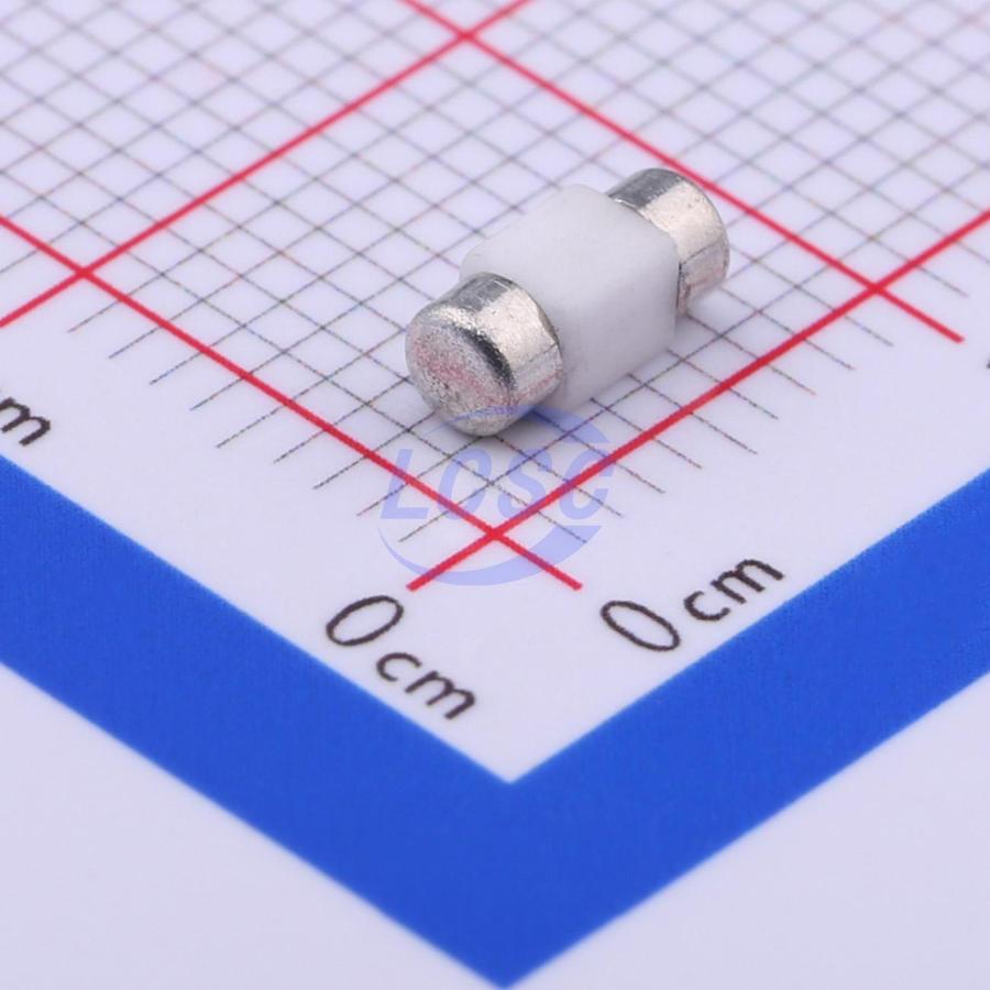 20230109 holly 25f 020h c377211 back.jpg