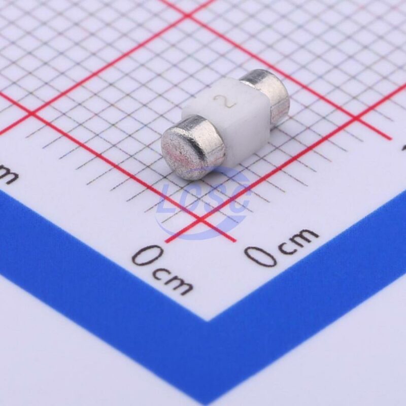 20230109 holly 25f 020h c377211 front.jpg