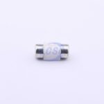 20230109 holly 25f 063h c377213 blank.jpg