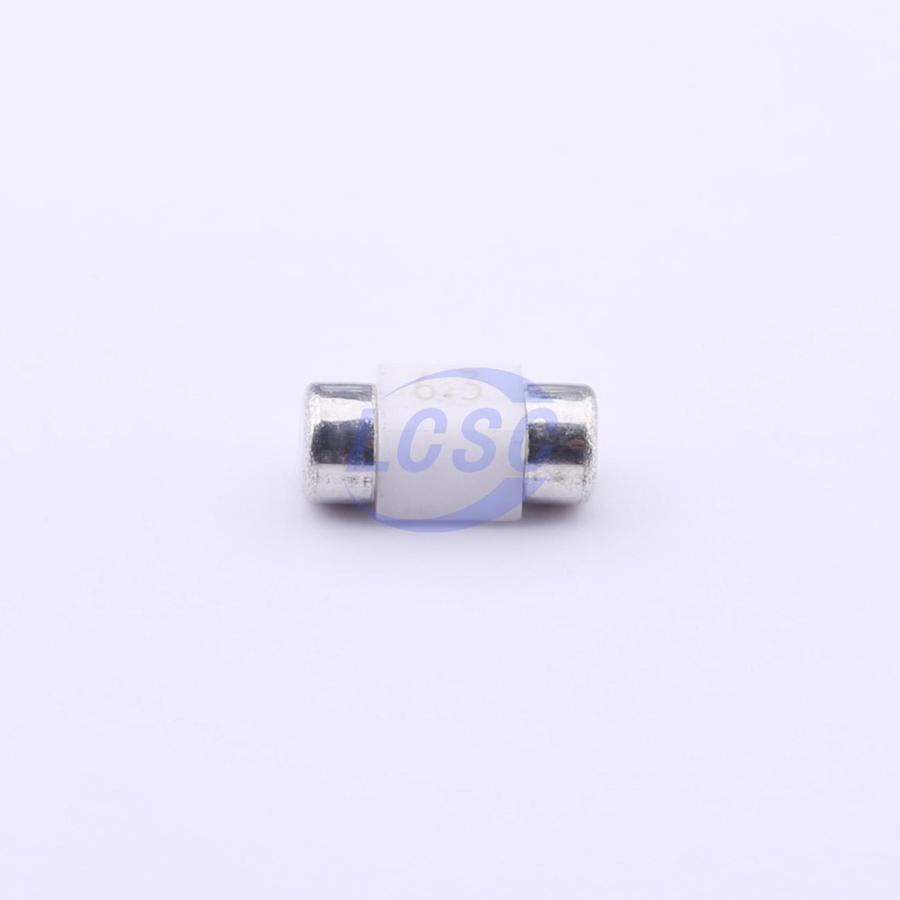 20230109 holly 25f 063h c377213 blank.jpg