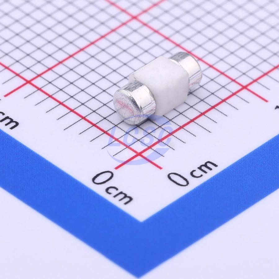 20230109 holly 25f 100h c377214 back.jpg