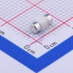 20230109 holly 25t 010h c377216 back.jpg