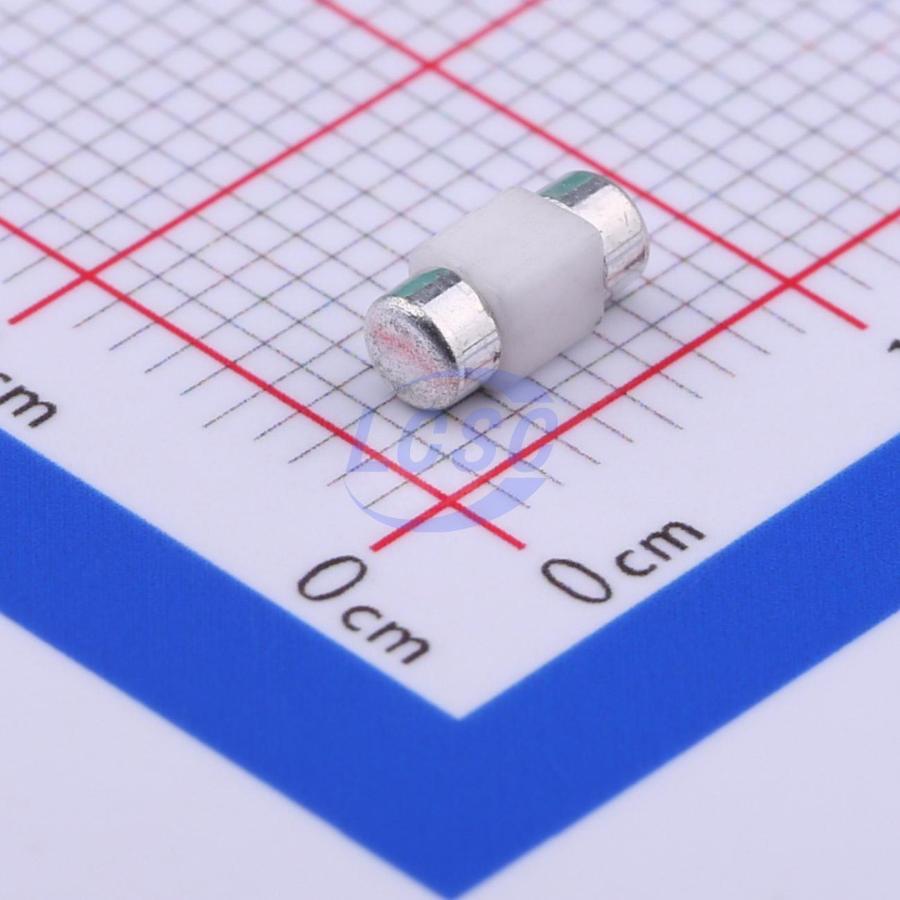 20230109 holly 25t 010h c377216 back.jpg