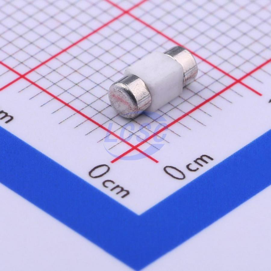 20230109 holly 25t 020h c377217 back.jpg