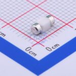 20230109 holly 25t 050h c377219 back.jpg