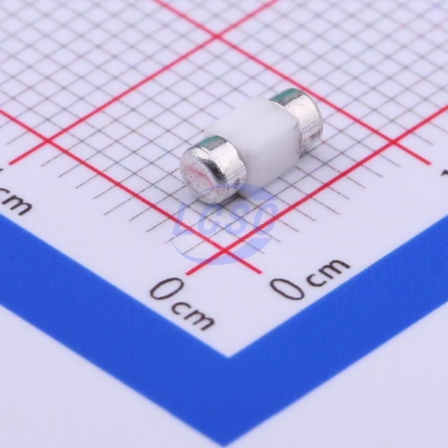 20230109 holly 25t 050h c377219 back.jpg