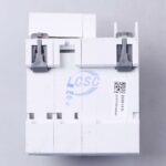 20230122 people rdb5le 63 c63 2p c2940897 back.jpg