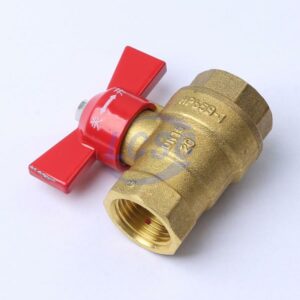 AMICO Q11F-20T-DN15-216A