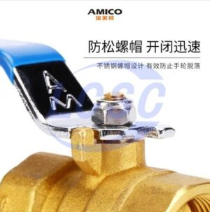 AMICO Q11F-20T-DN10-266