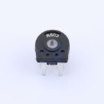 20230125 bochen chengdu guosheng tech pt10 l v 502 5k c5205094 blank.jpg