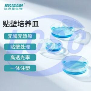 BKMAMLAB 110304001