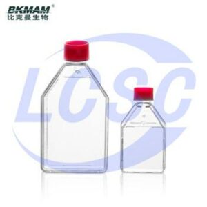BKMAMLAB 110304003