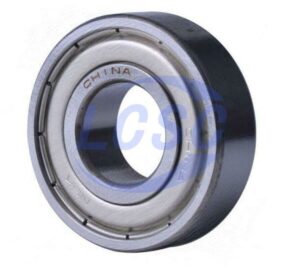 NSK Ltd. 6209ZZCM & NS7SX