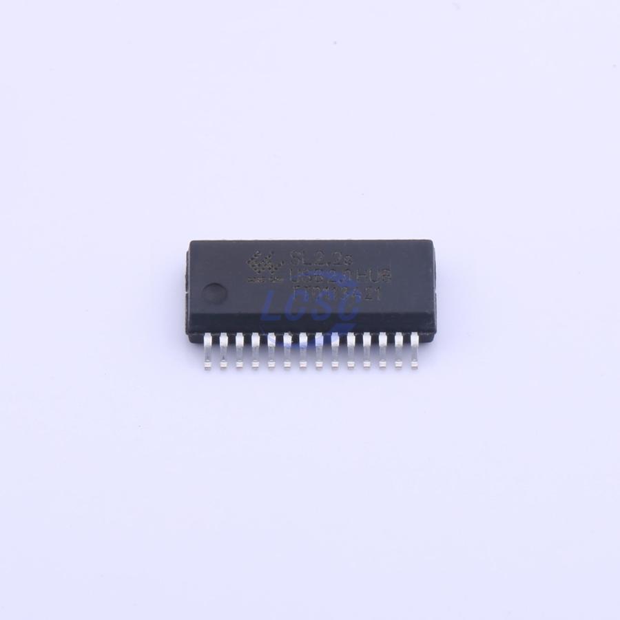 20230130 corechips sl2 2s c2684434 blank.jpg