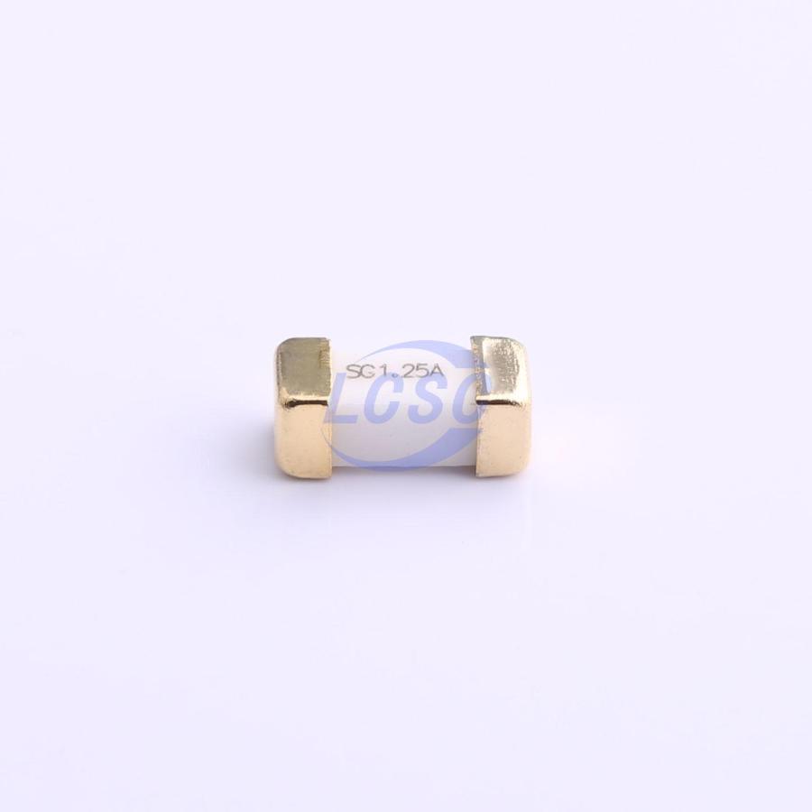 20230201 skygate 25h1250g c669614 blank.jpg