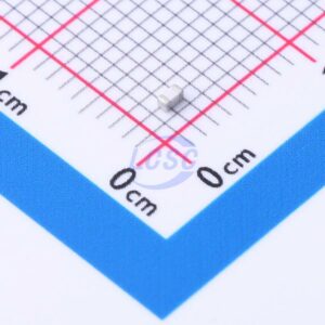 Littelfuse 0603SFS500F/32-2