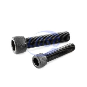 EG DIN912 M8-1.25x65(110002080065)