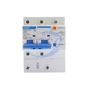 CHINT NXBLE-125 2P C100A