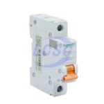 20230413 schneider ea9an 1p c63a c5143368 blank.jpg