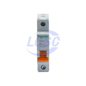 Schneider EA9AN 1P D63A