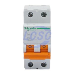 Schneider EA9AN 2P C10A