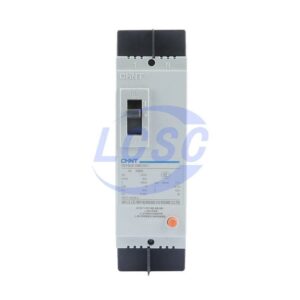 CHINT DZ15LE-100/2901 100A 50mA