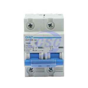 CHINT DZ158-125 2P 100A(R)