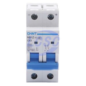 CHINT NB1Z-63 2P C63 AC400V DC220V(R)