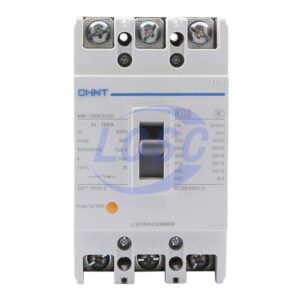 CHINT NM1-125S/3200 100A G