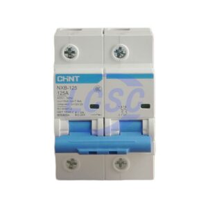 CHINT NXB-125 2P D125