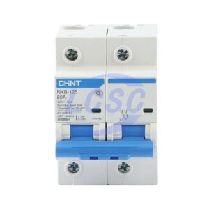 CHINT NXB-125 2P D80